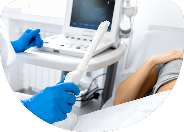 Ultrasonido pélvico y transvaginal